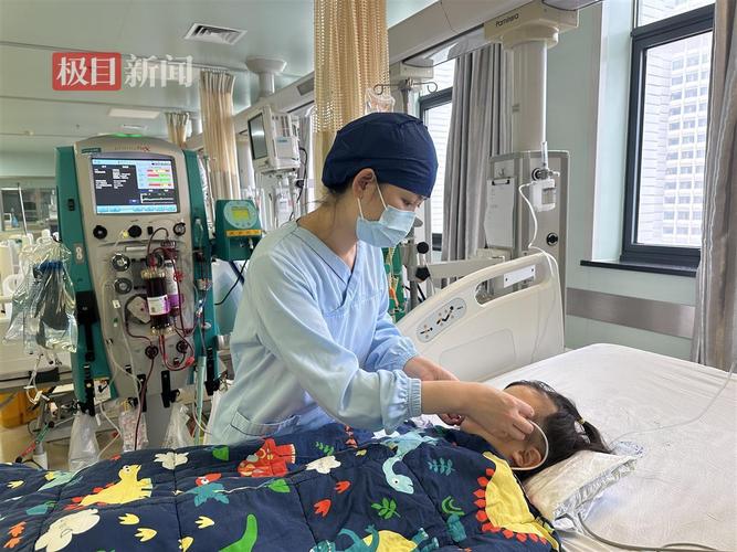 女童被蜜蜂蛰伤致死